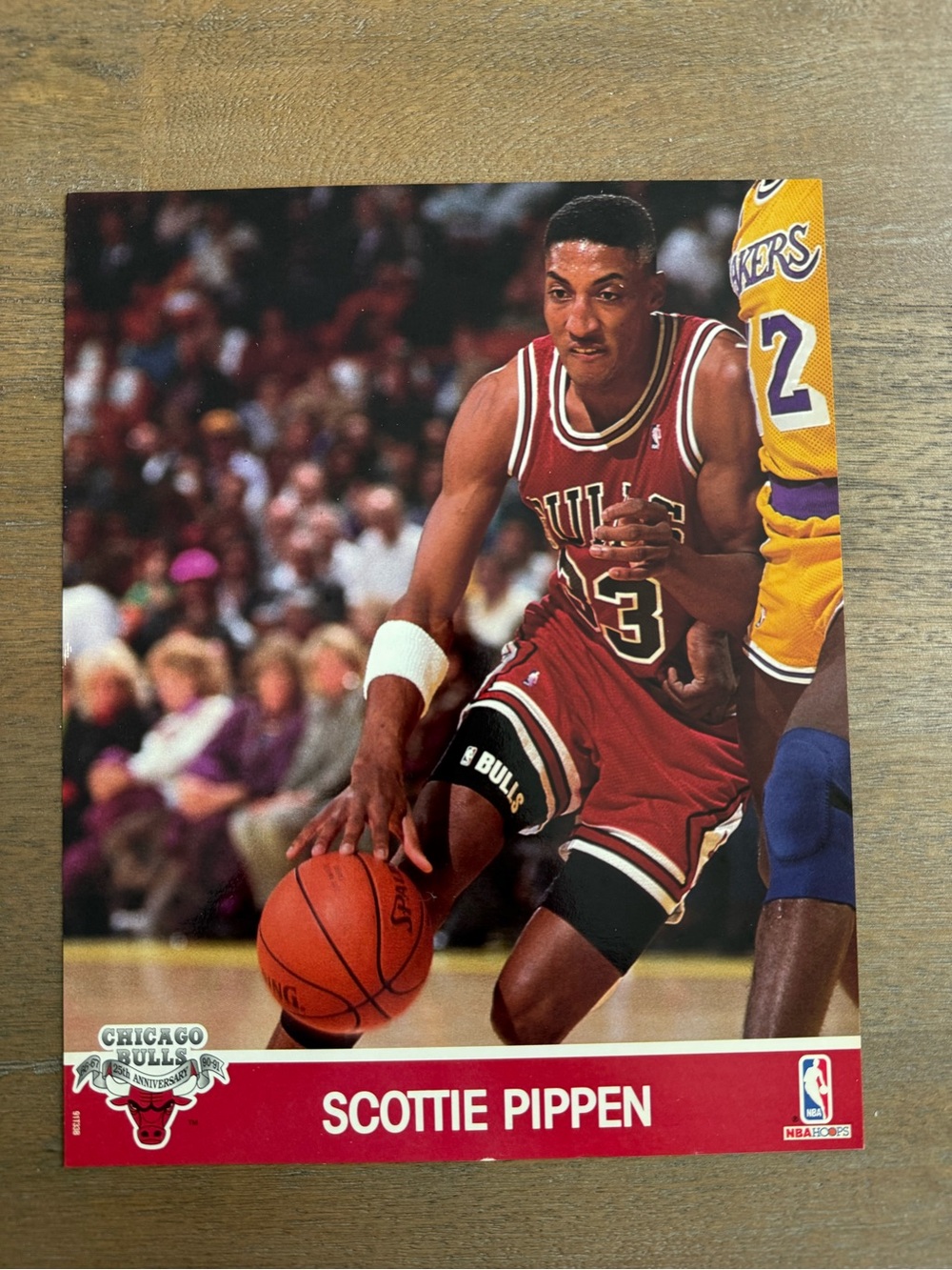 Vintage 1991 Scottie Pippen 8x10 glossy picture/ card
